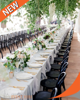 Black Bentwood Chair Hire